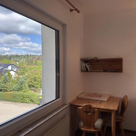Ferienwohnung In Hahnenklee 戈斯拉尔 外观 照片