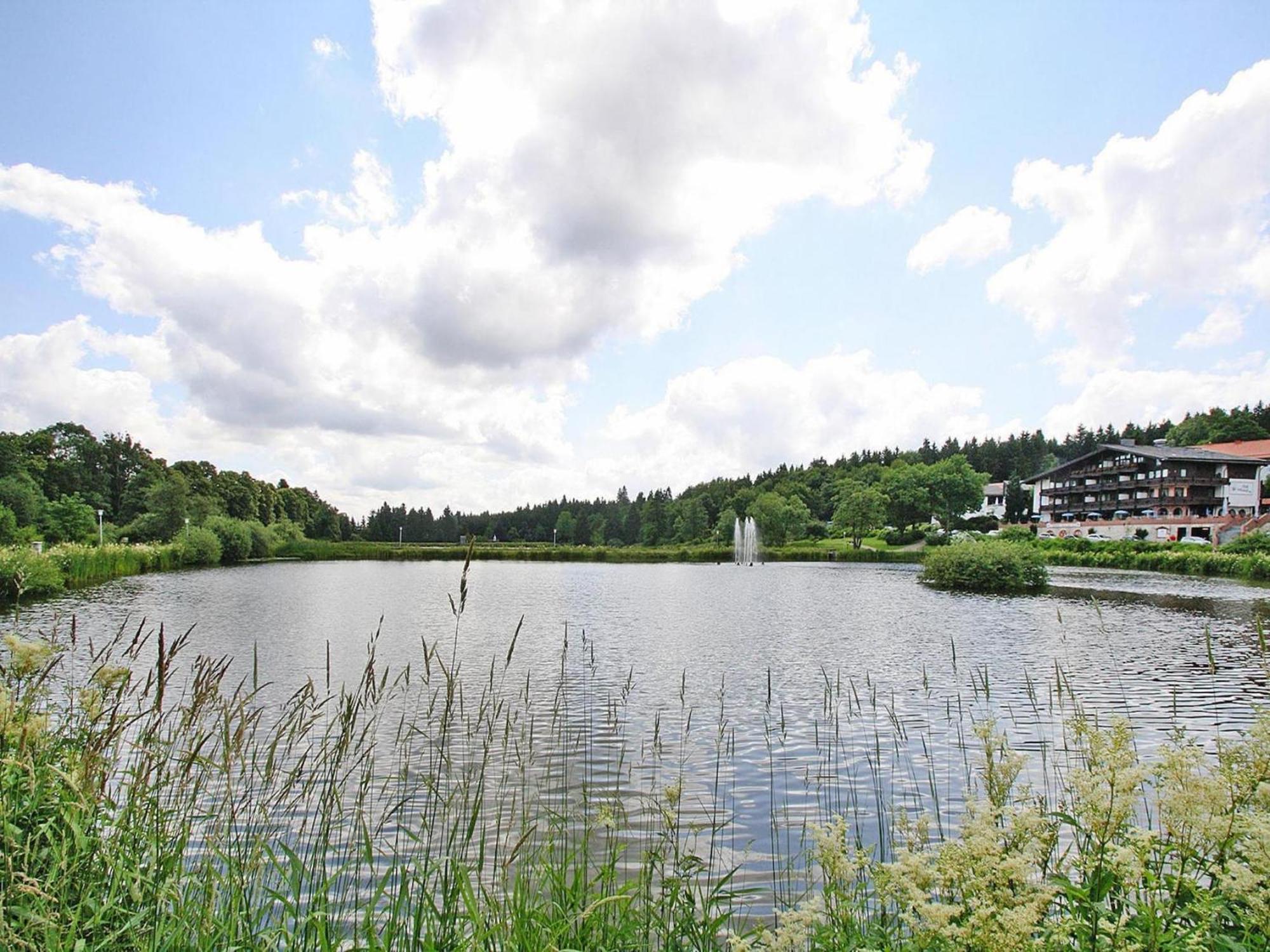 Ferienwohnung In Hahnenklee 戈斯拉尔 外观 照片