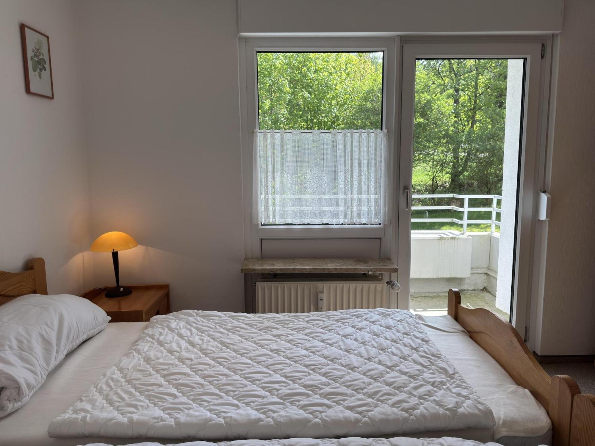 Ferienwohnung In Hahnenklee 戈斯拉尔 外观 照片